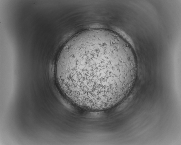 X0000111150057200907141349