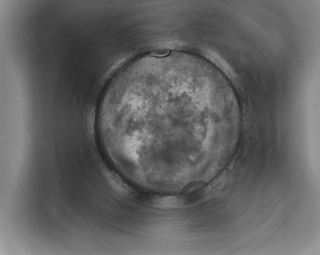 X0000111150058200907141349