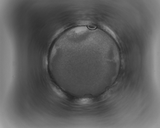 X0000111150059200907141349