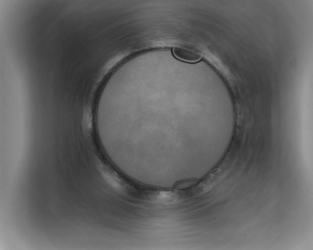 X0000111150060200907141349