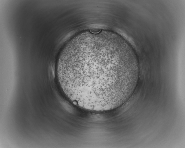 X0000111150062200907141349