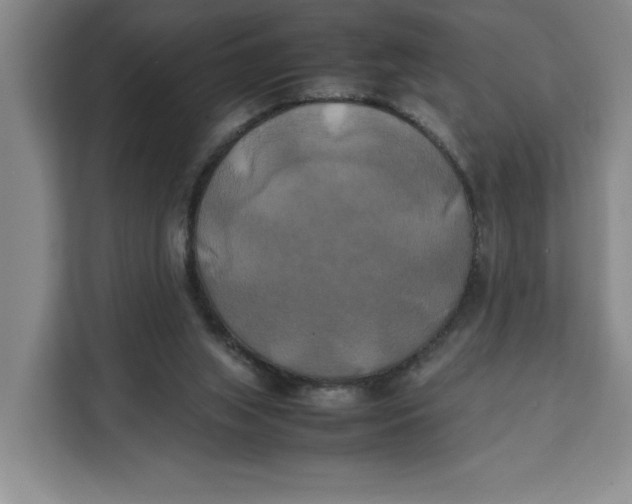 X0000111150063200907141349