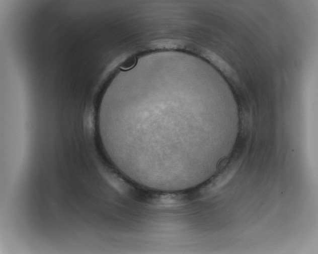 X0000111150064200907141349