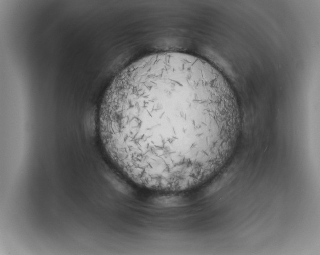 X0000111150065200907141349
