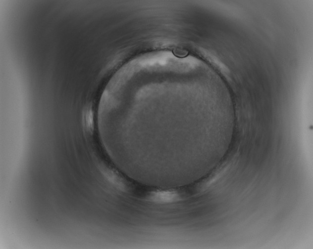 X0000111150067200907141350