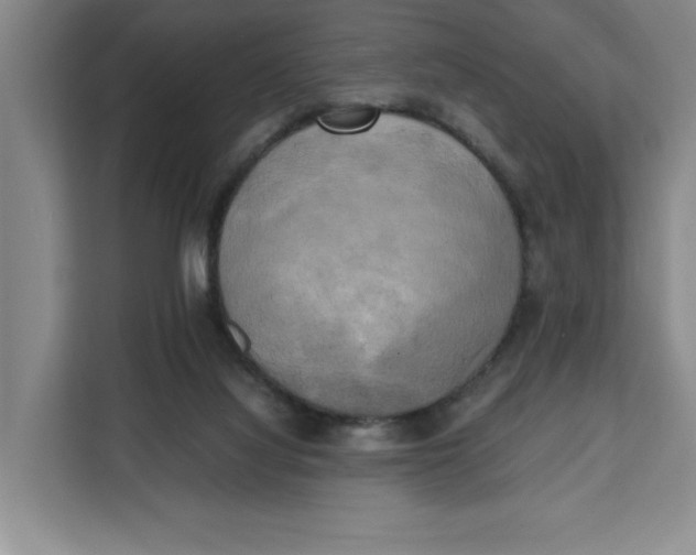 X0000111150068200907141350
