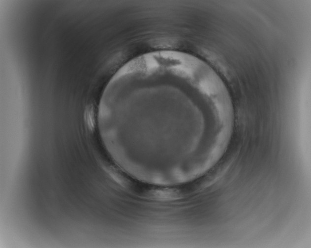 X0000111150069200907141350