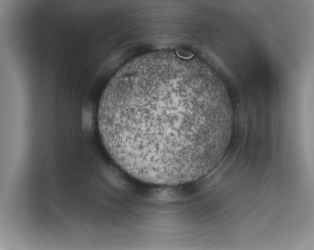 X0000111150074200907141350