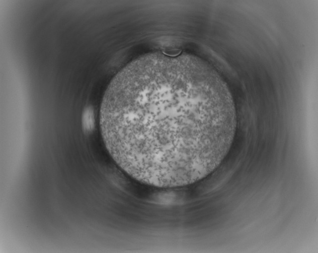 X0000111150075200907141350
