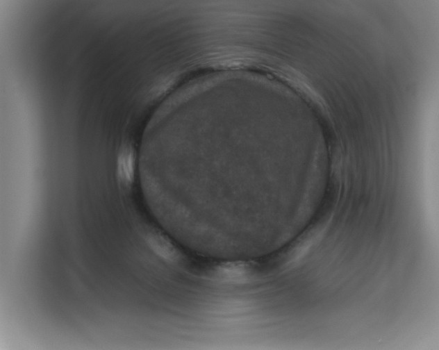 X0000111150076200907141350