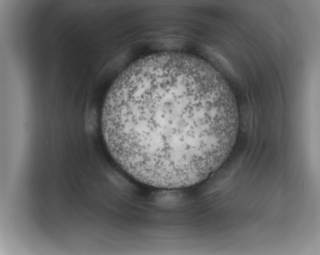 X0000111150077200907141350