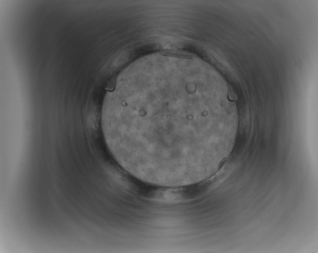 X0000111150078200907141350