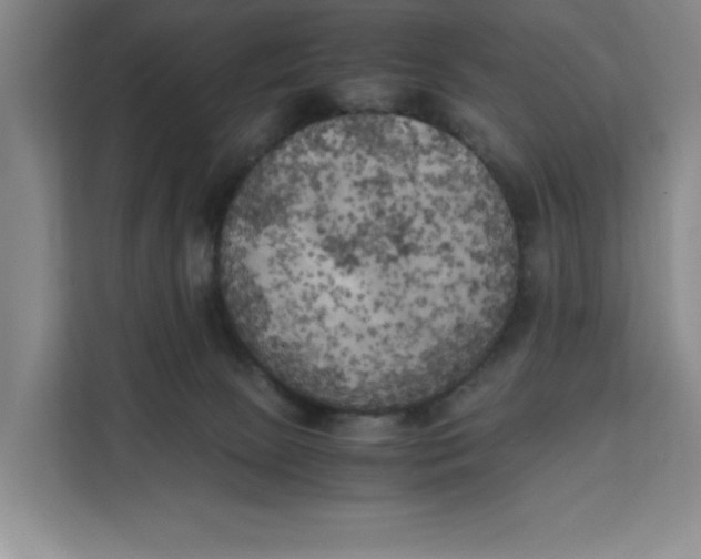 X0000111150081200907141350