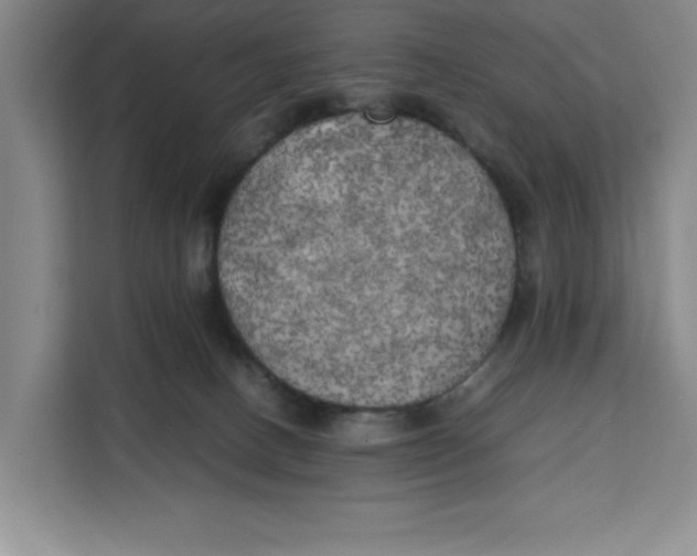 X0000111150082200907141350
