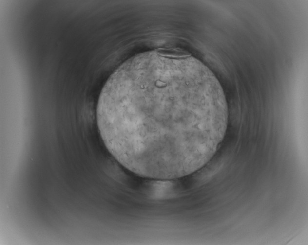 X0000111150085200907141350