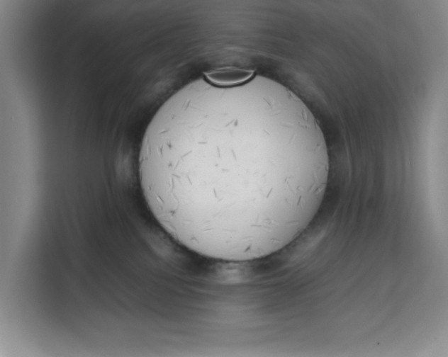 X0000111150088200907141350