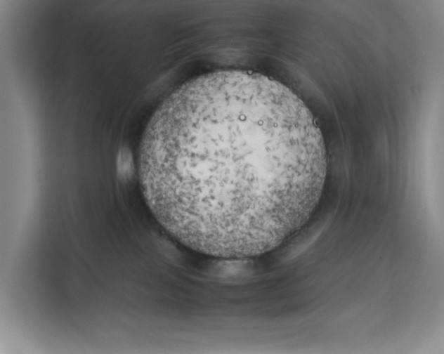 X0000111150089200907141350