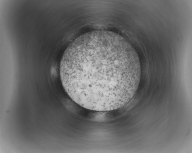 X0000111150090200907141350