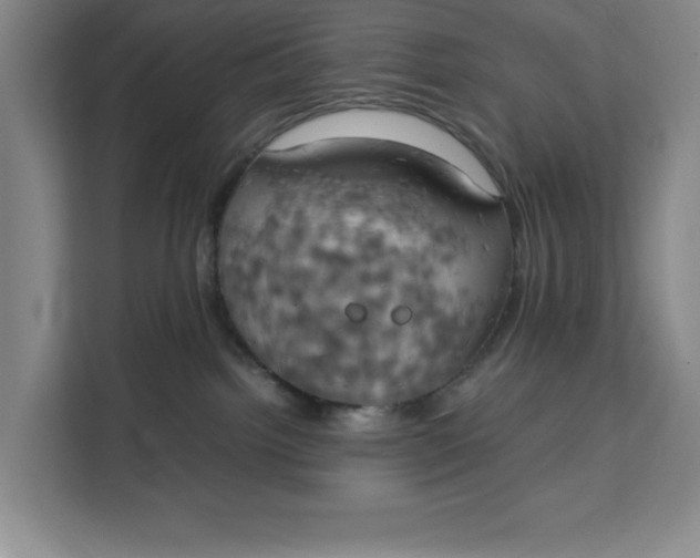 X0000111150092200907141350