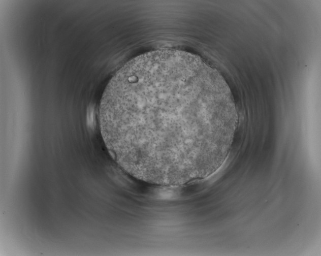 X0000111150094200907141350