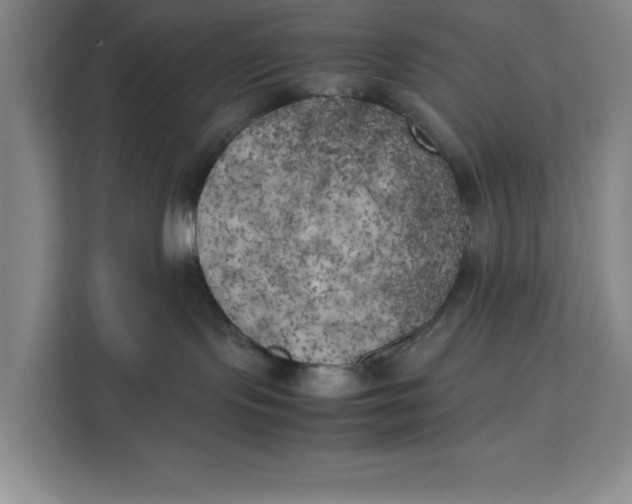 X0000111150095200907141350