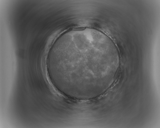 X0000111150097200907141349