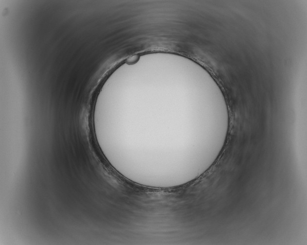 X0000111150098200907141349