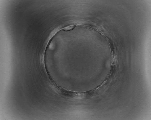 X0000111150099200907141349