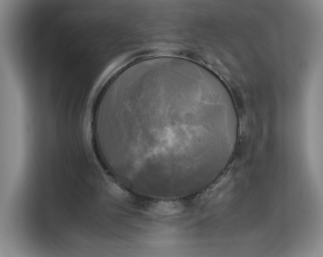 X0000111150101200907141349