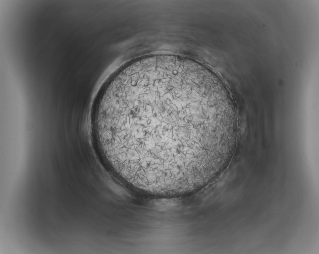 X0000111150102200907141349