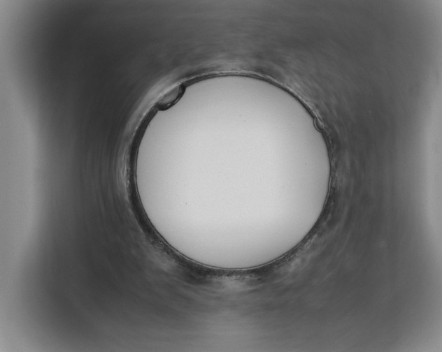 X0000111150103200907141349