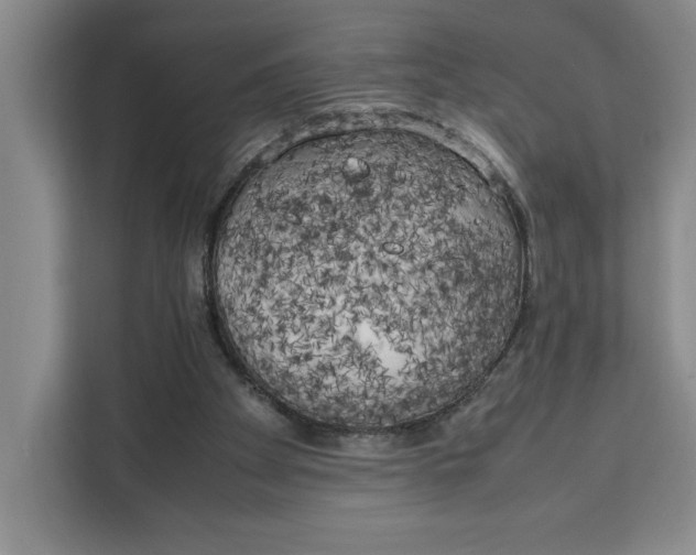 X0000111150105200907141349