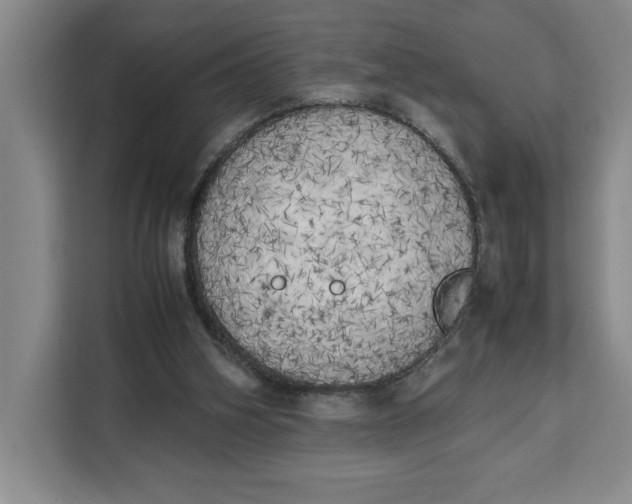 X0000111150106200907141349