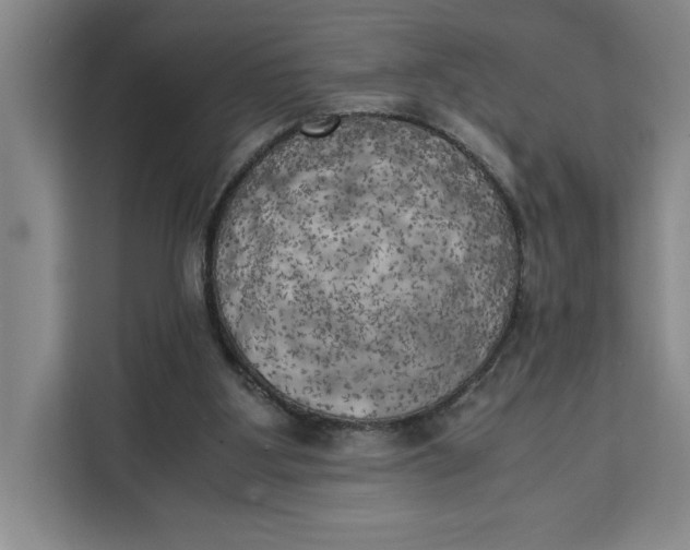 X0000111150107200907141349