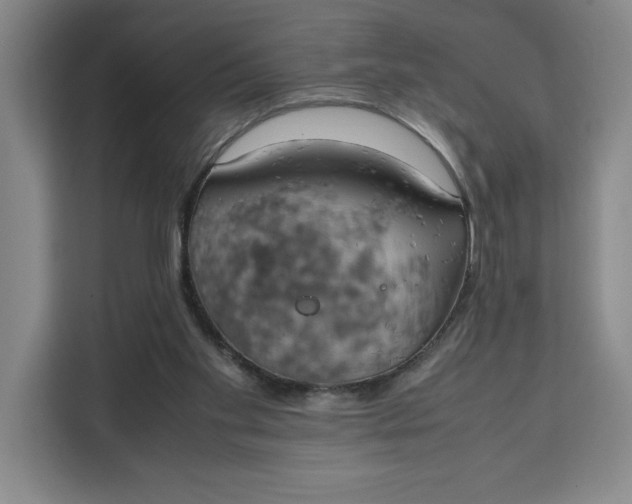 X0000111150109200907141349