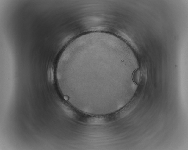 X0000111150110200907141349