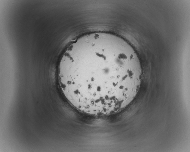 X0000111150111200907141349