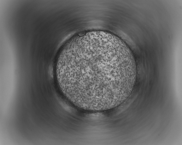 X0000111150112200907141349