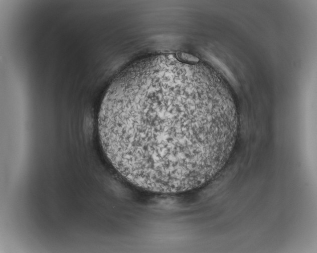 X0000111150113200907141349