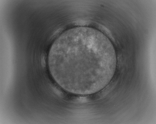 X0000111150114200907141349