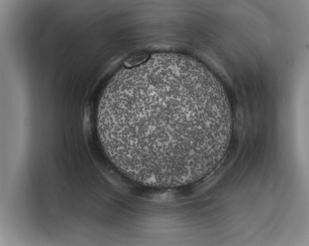 X0000111150116200907141349