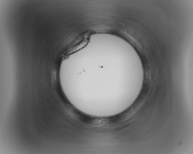 X0000111150117200907141349