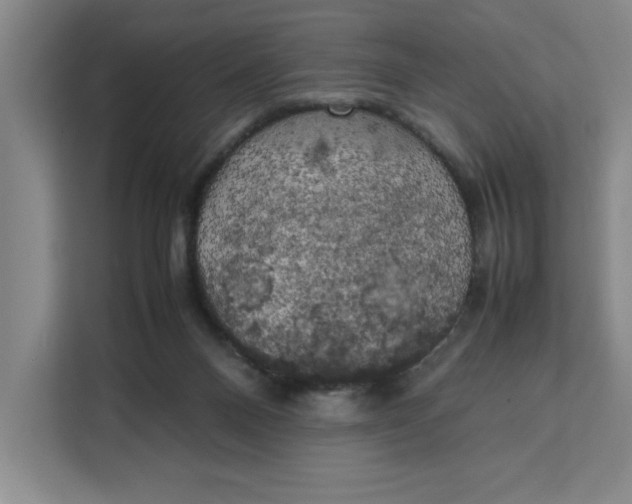 X0000111150120200907141349