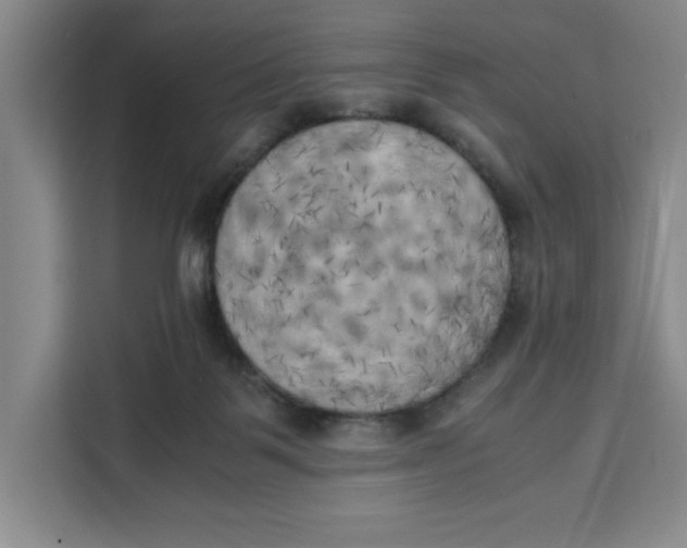 X0000111150123200907141349