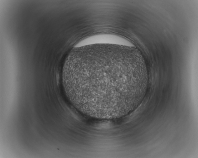X0000111150124200907141349