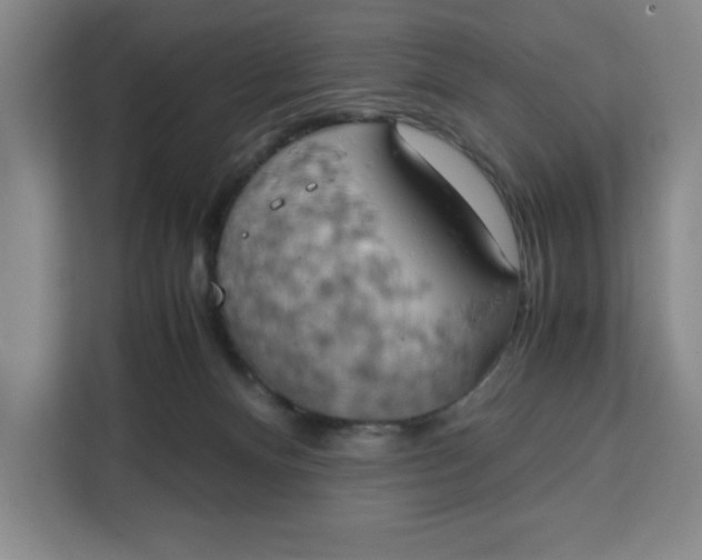 X0000111150128200907141349