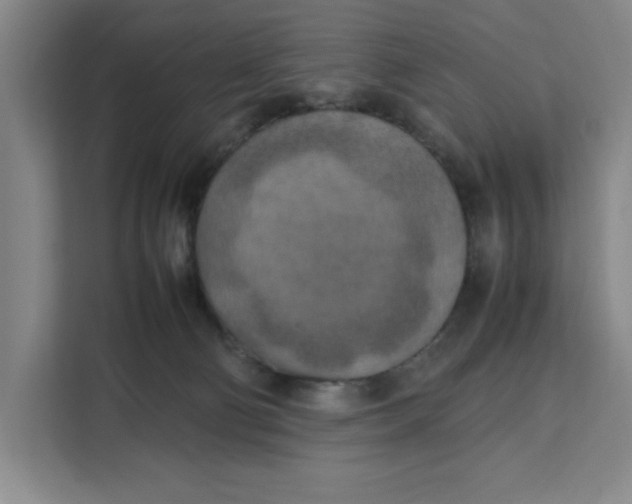 X0000111150130200907141349