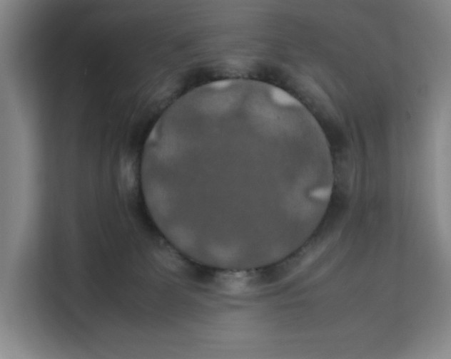 X0000111150131200907141349