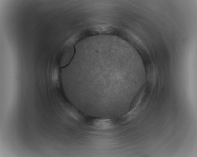 X0000111150132200907141349