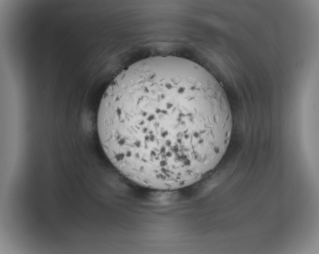 X0000111150135200907141349